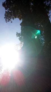 130228_01.jpg